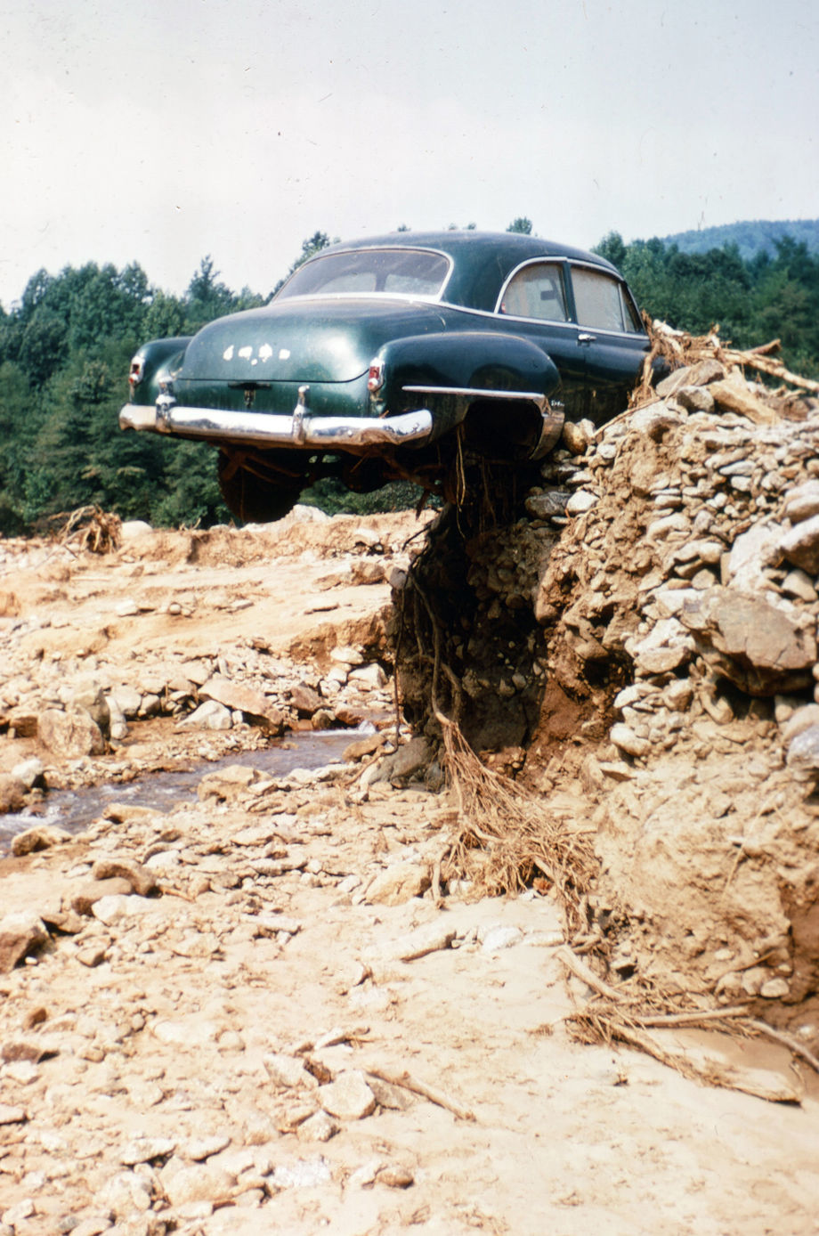 Nelson County